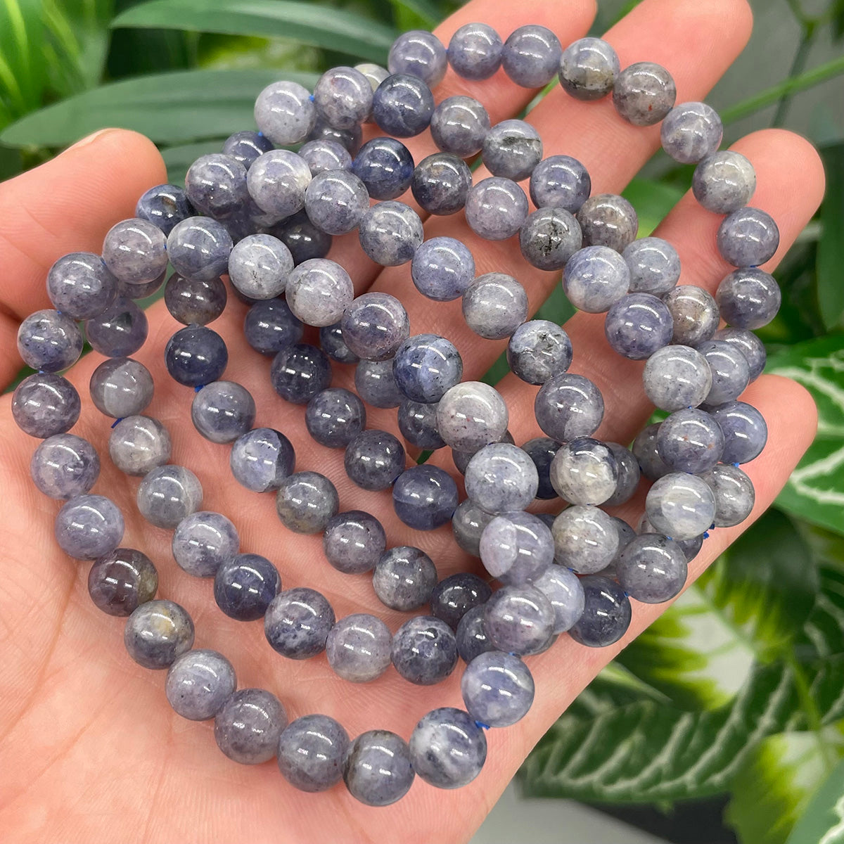 Iolite Cordierite Bead Bracelet