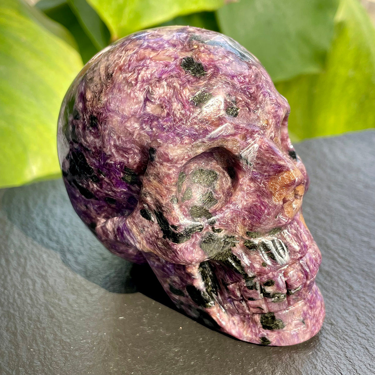 Crystal Charoite Skull Healing Stone Collectible