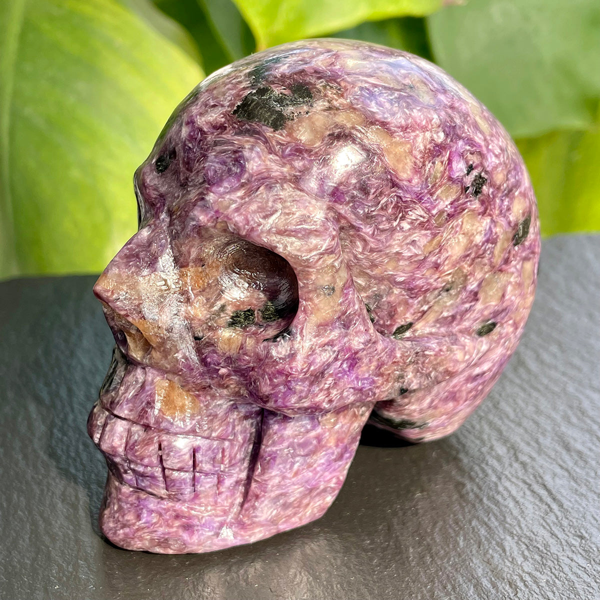 Crystal Charoite Skull Healing Stone Collectible