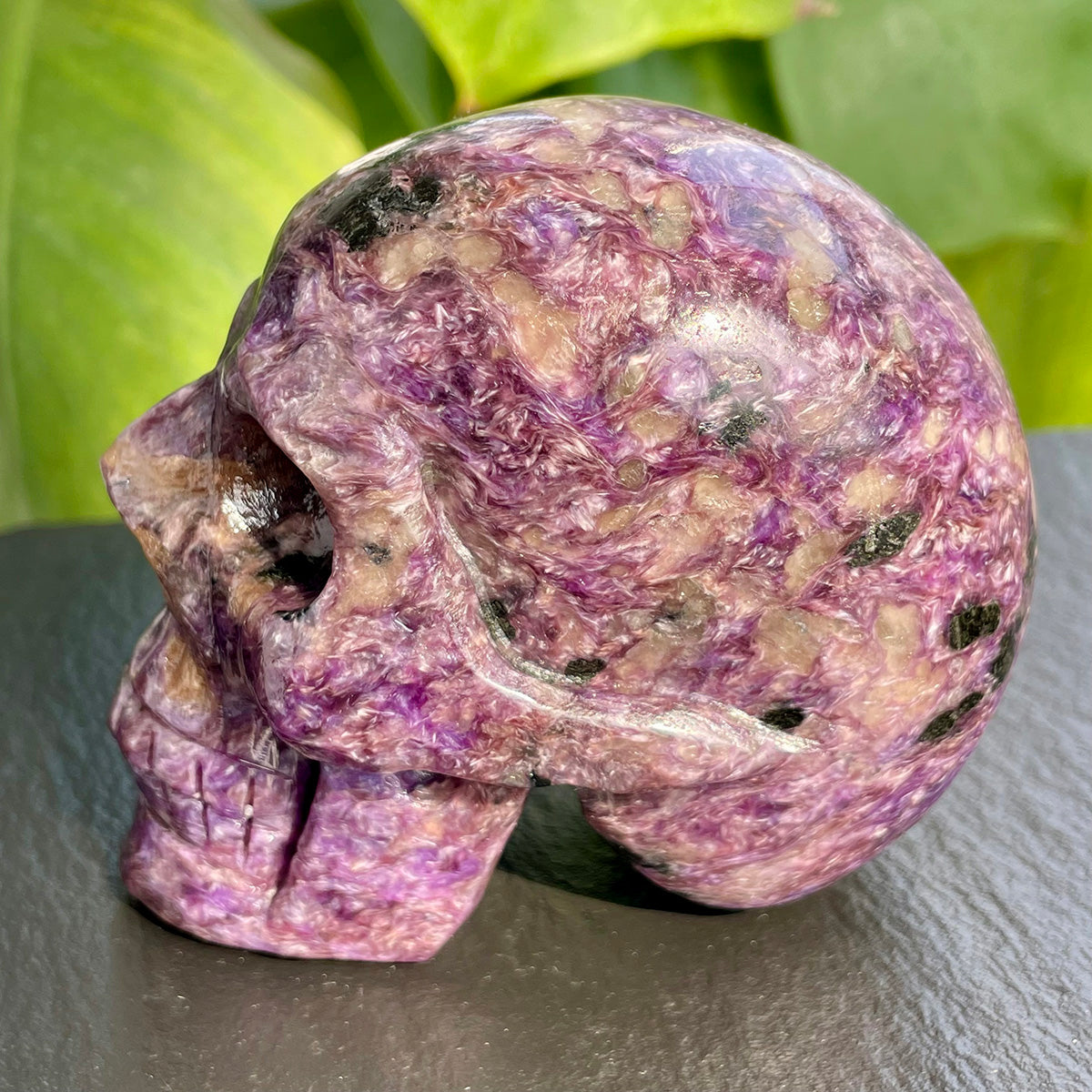 Crystal Charoite Skull Healing Stone Collectible