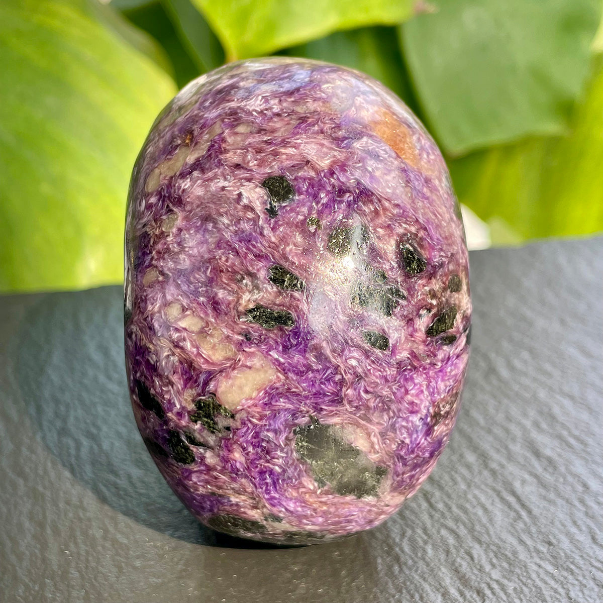 Crystal Charoite Skull Healing Stone Collectible