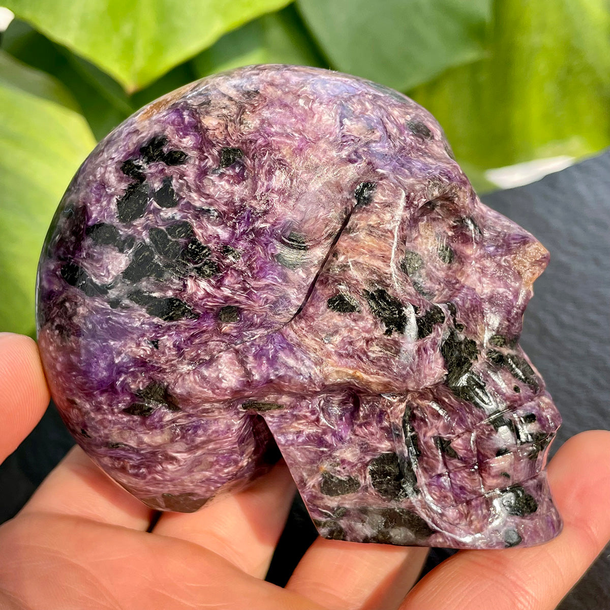 Crystal Charoite Skull Healing Stone Collectible