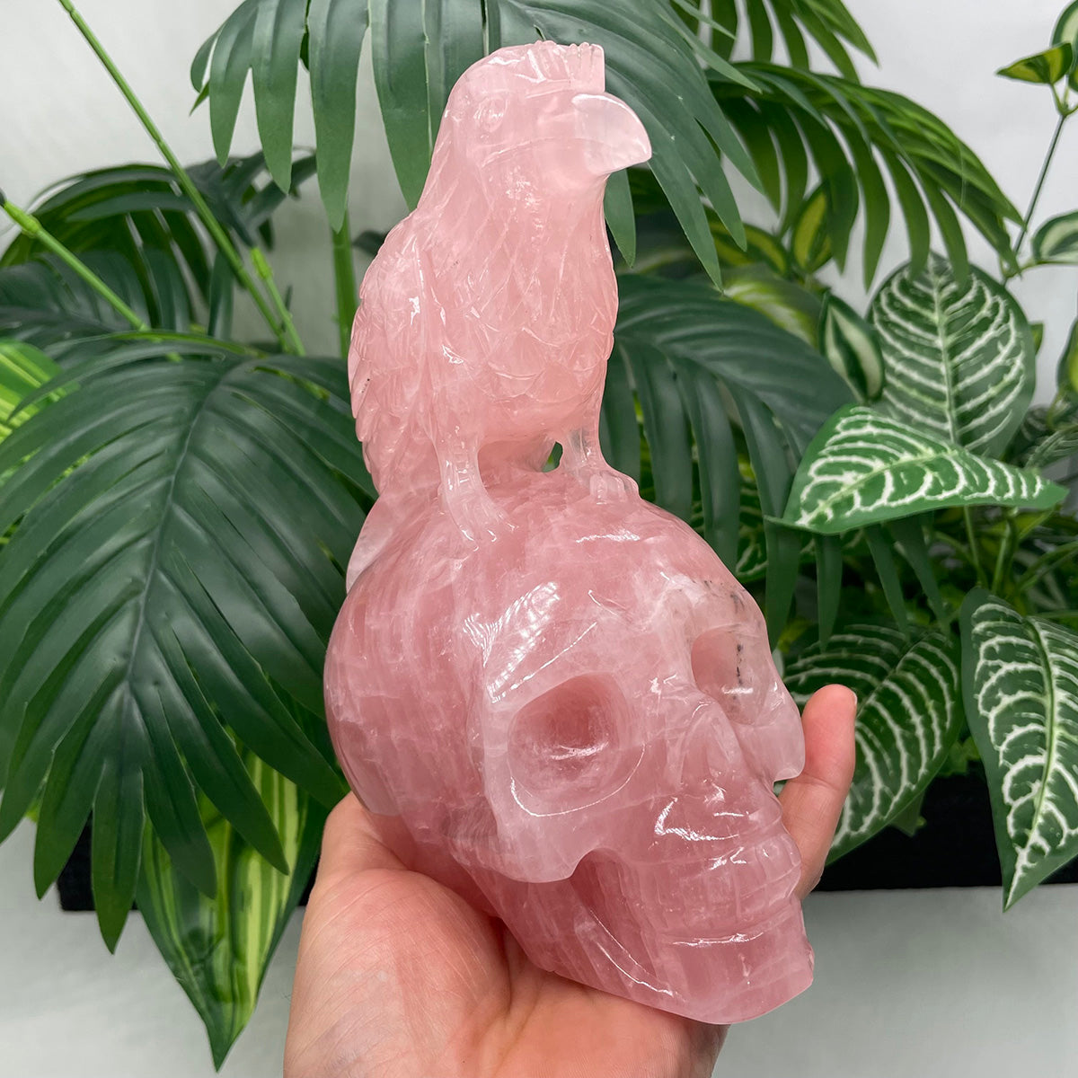 Rose Quartz Crystal Skull with Raven of Wisdom - The Stone of Love Meets Magic