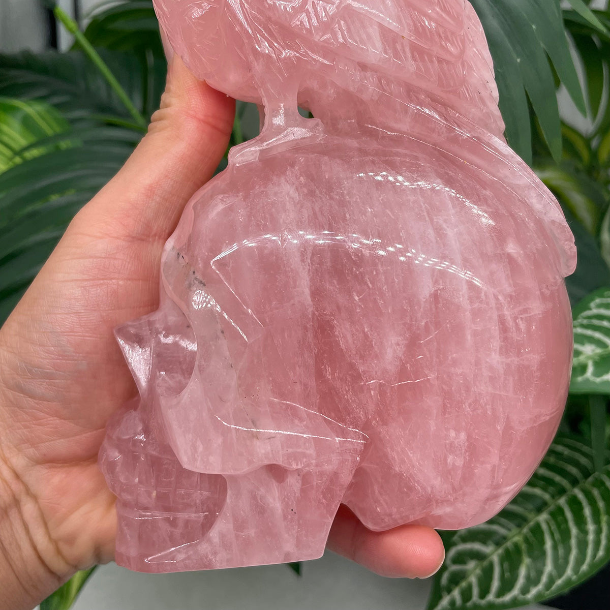 Rose Quartz Crystal Skull with Raven of Wisdom - The Stone of Love Meets Magic