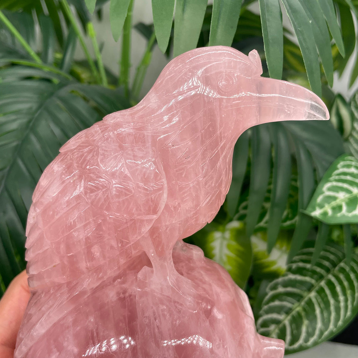 Rose Quartz Crystal Skull with Raven of Wisdom - The Stone of Love Meets Magic