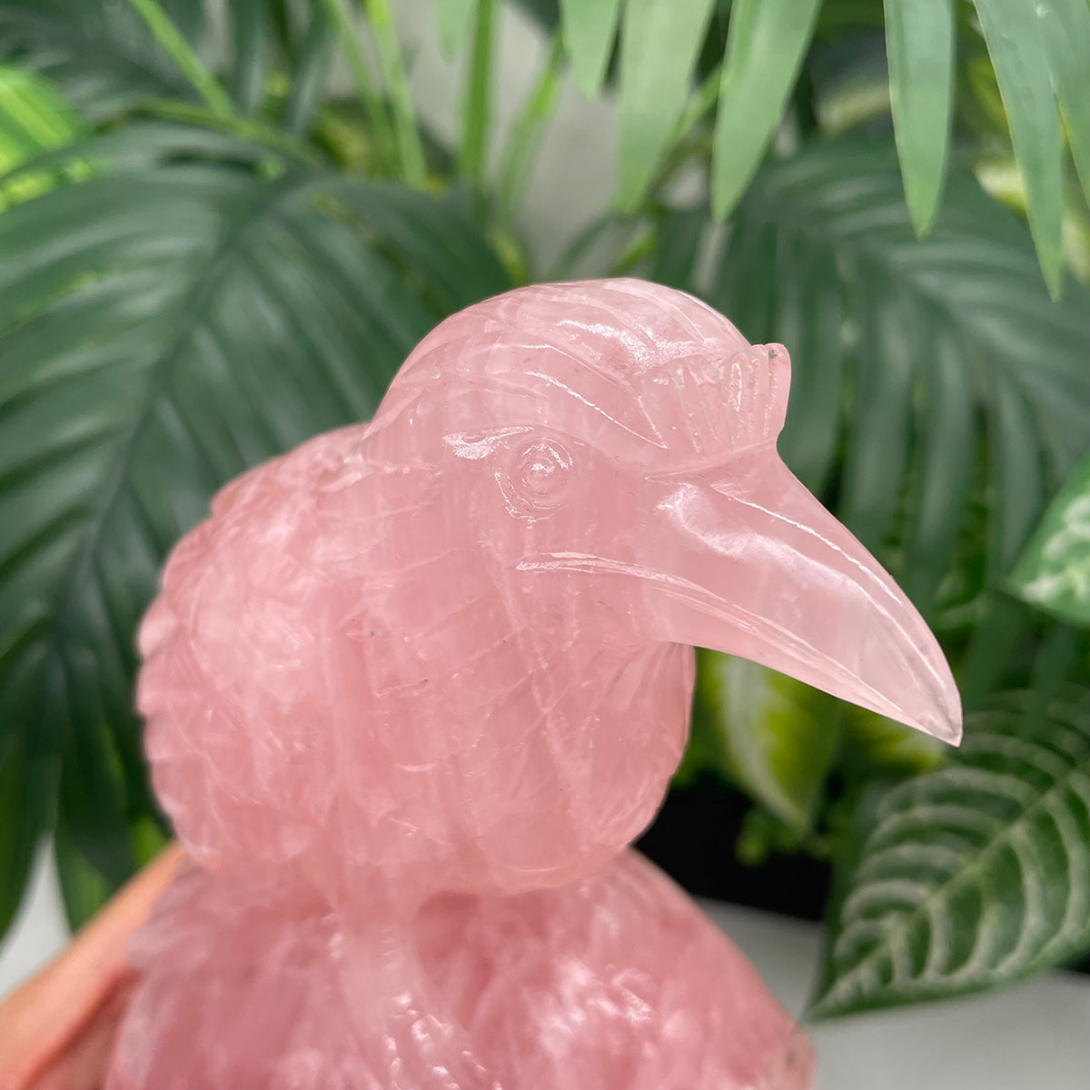 Rose Quartz Crystal Skull with Raven of Wisdom - The Stone of Love Meets Magic