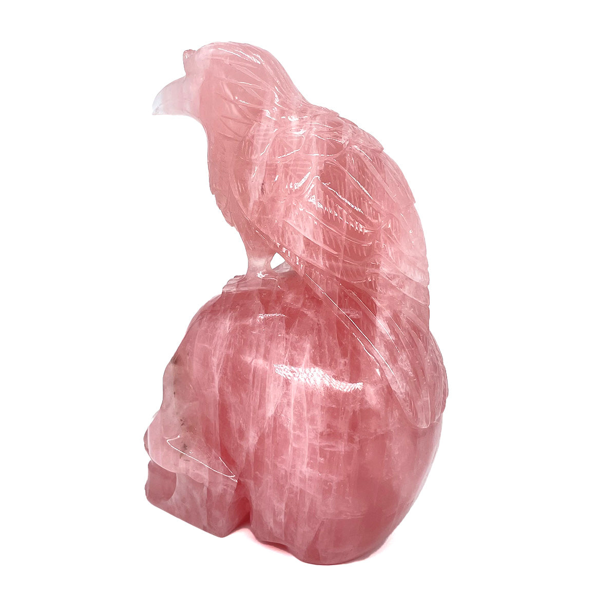Rose Quartz Crystal Skull with Raven of Wisdom - The Stone of Love Meets Magic