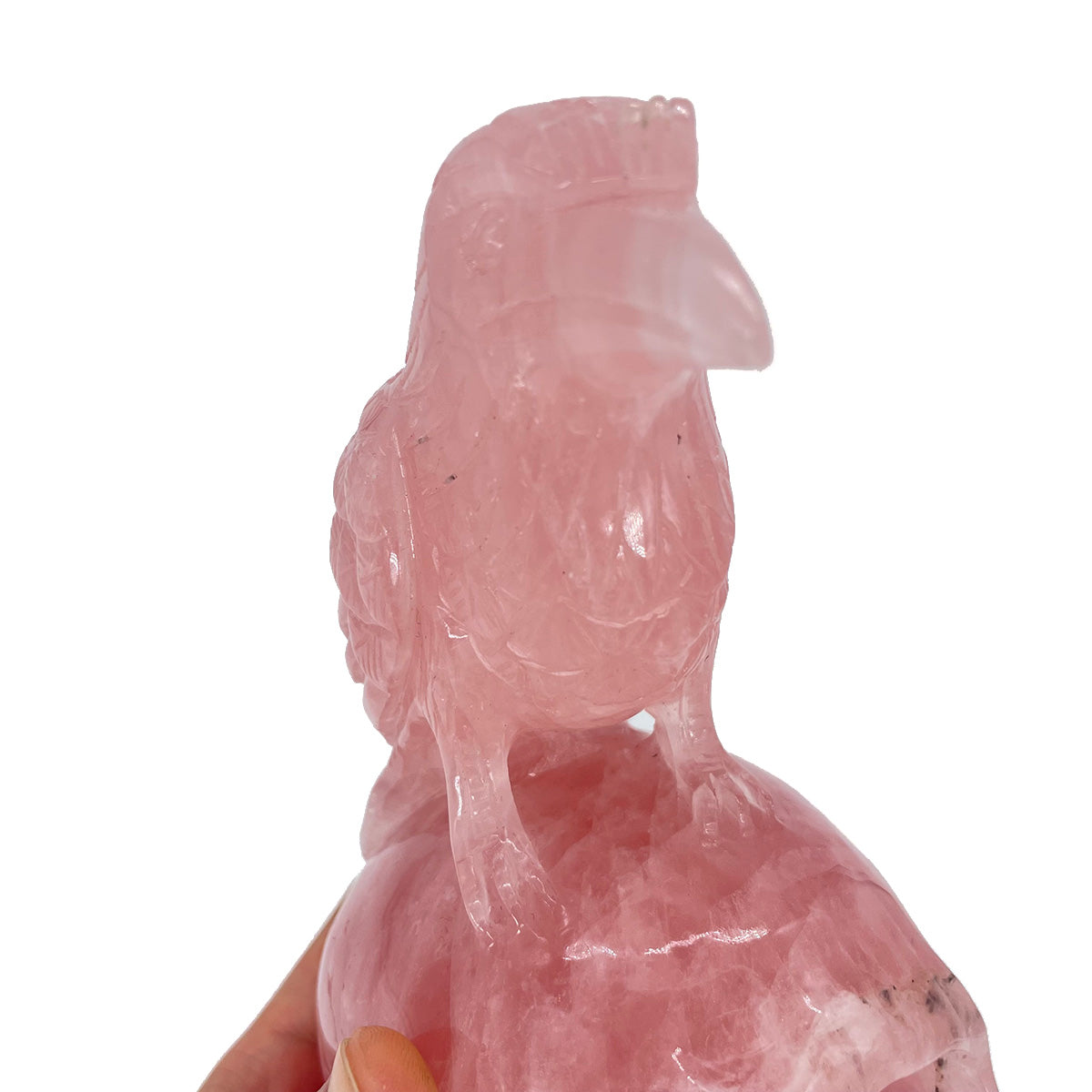 Rose Quartz Crystal Skull with Raven of Wisdom - The Stone of Love Meets Magic