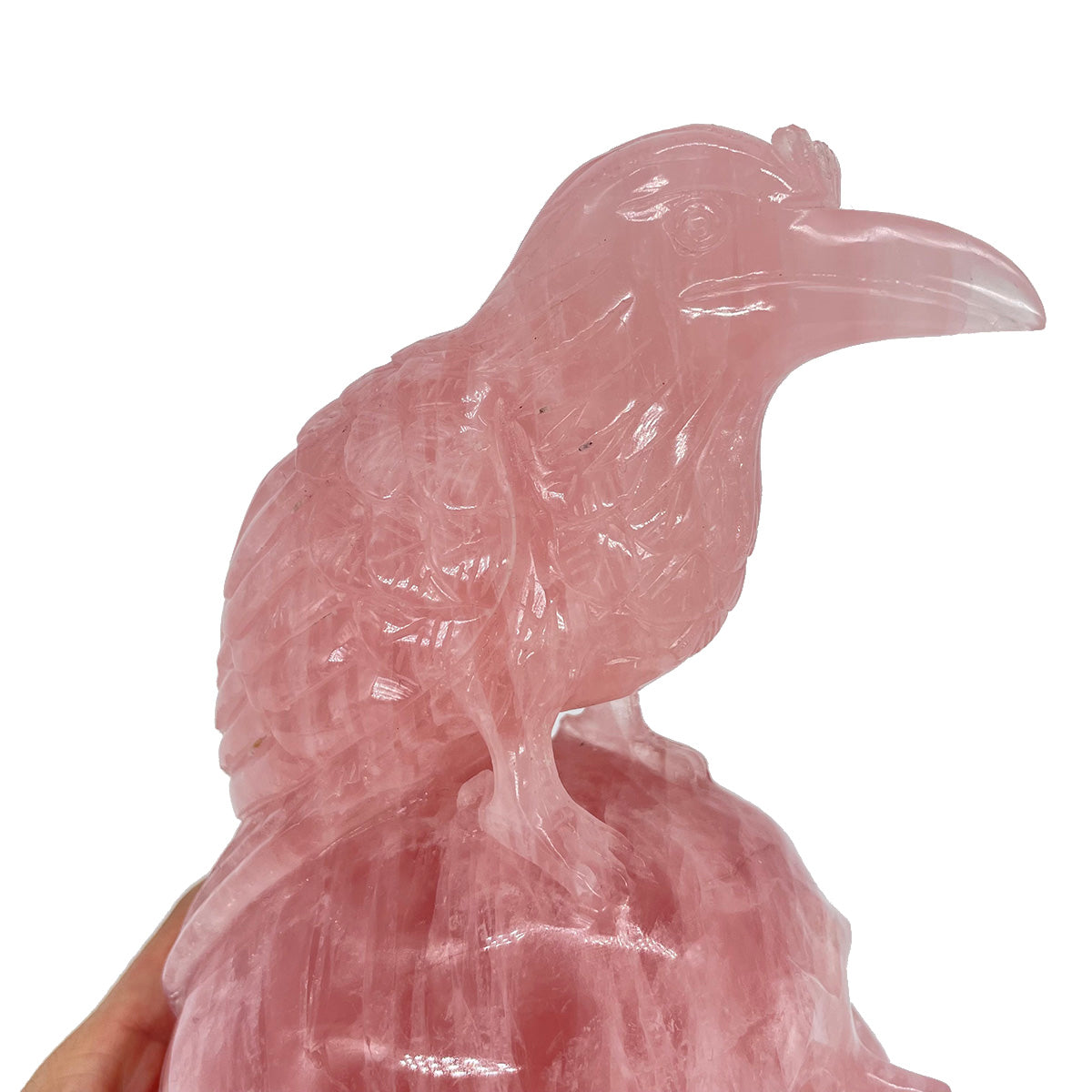 Rose Quartz Crystal Skull with Raven of Wisdom - The Stone of Love Meets Magic