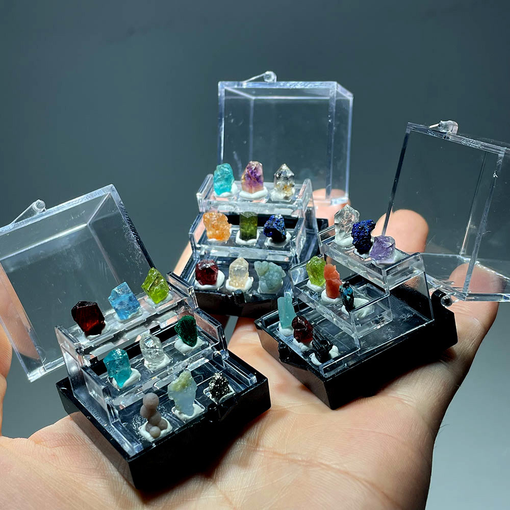 A World of Wonder: Miniature Mineral & Crystal Collection Box
