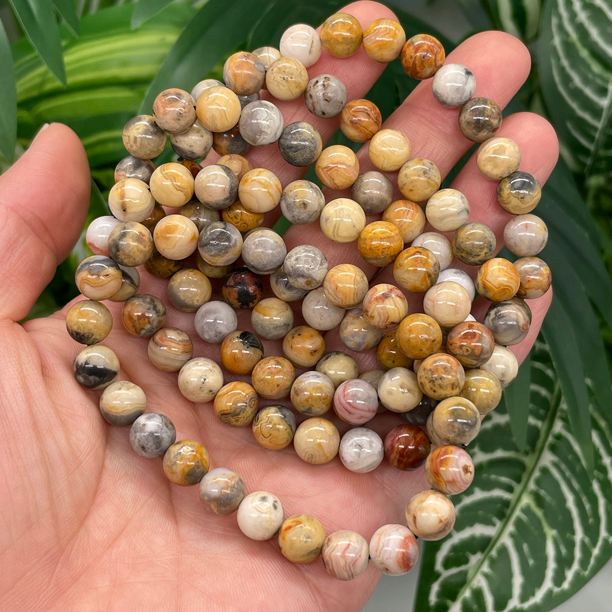 Crazy Lace Agate Bead Bracelet Healing Stones