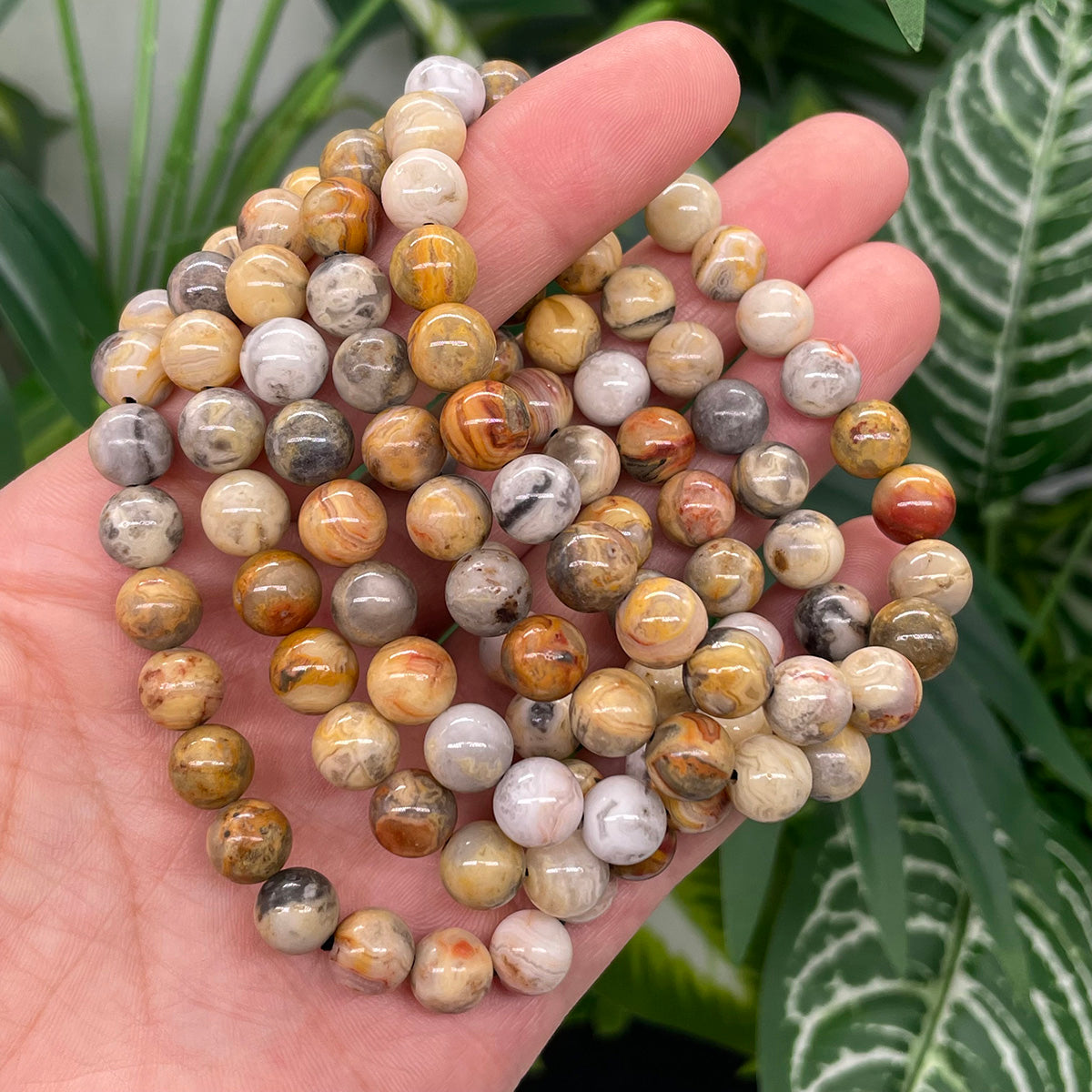 Crazy Lace Agate Bead Bracelet Healing Stones
