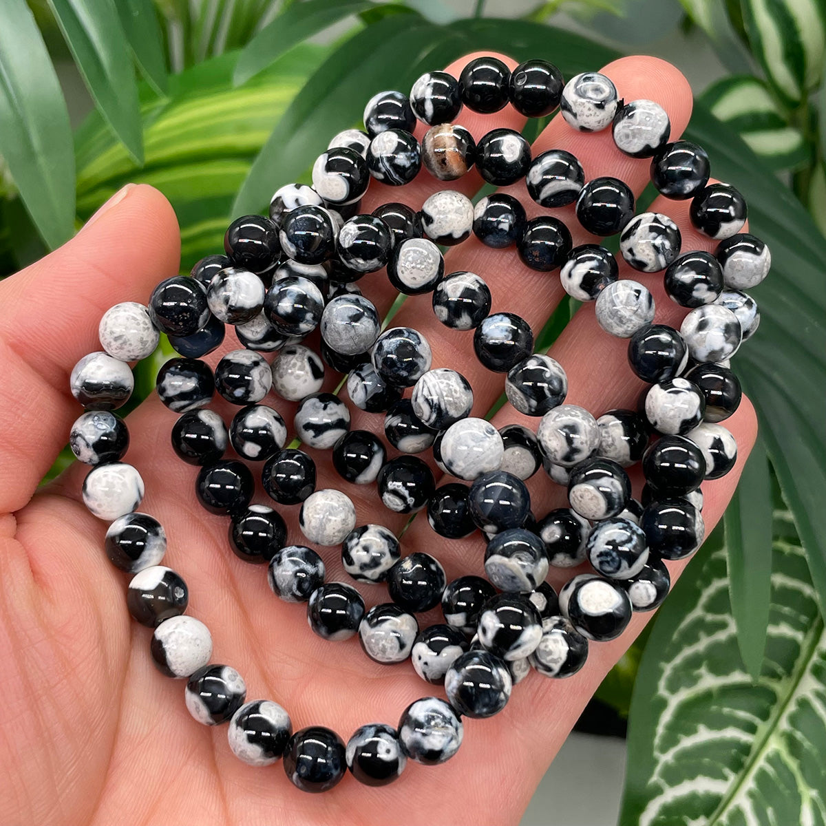 orca agate bracelet