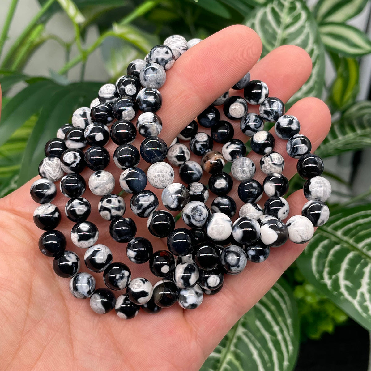 Orca Agate Bead Bracelet Healing Stones