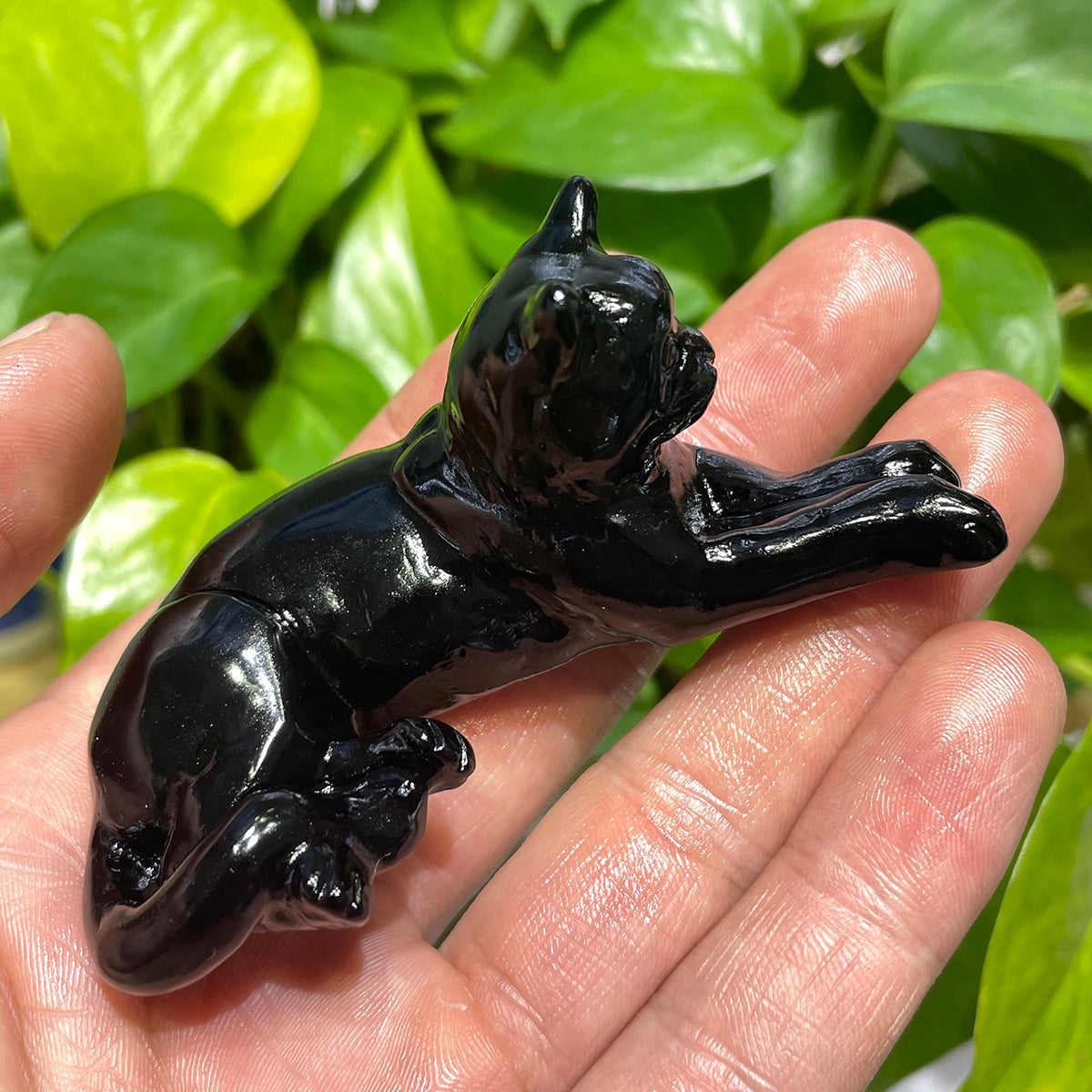 Black Obsidian cat