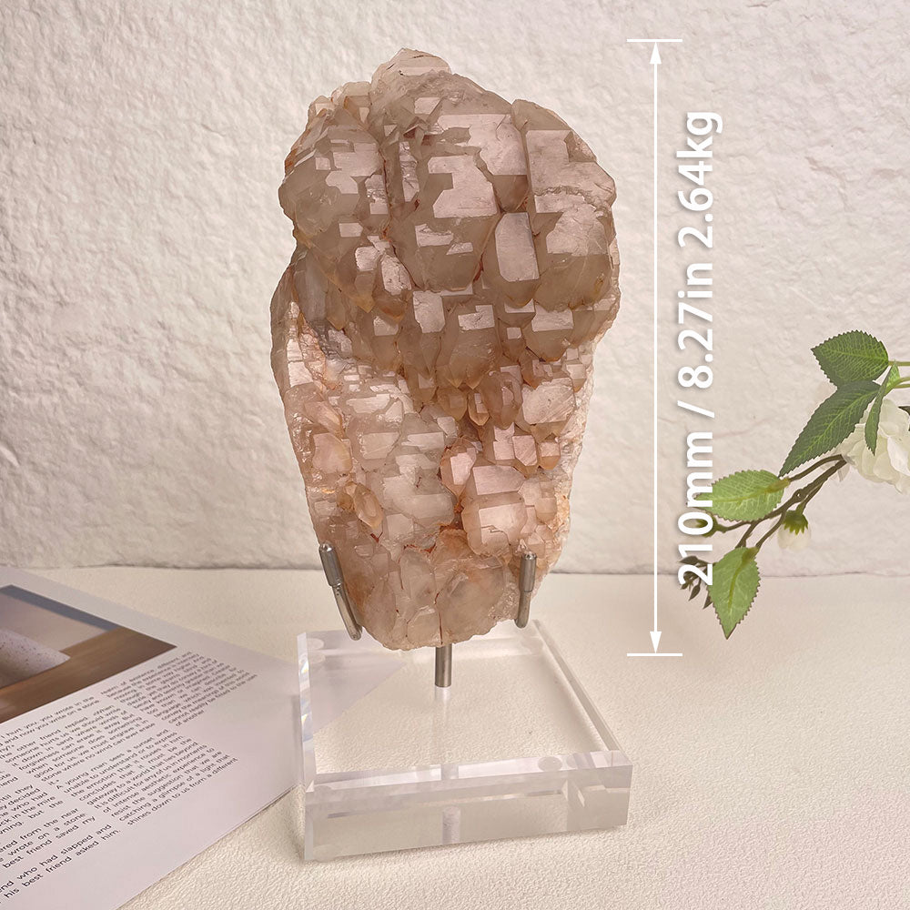 Massive 2.64kg Madagascar Elestial Quartz Cluster with Stand