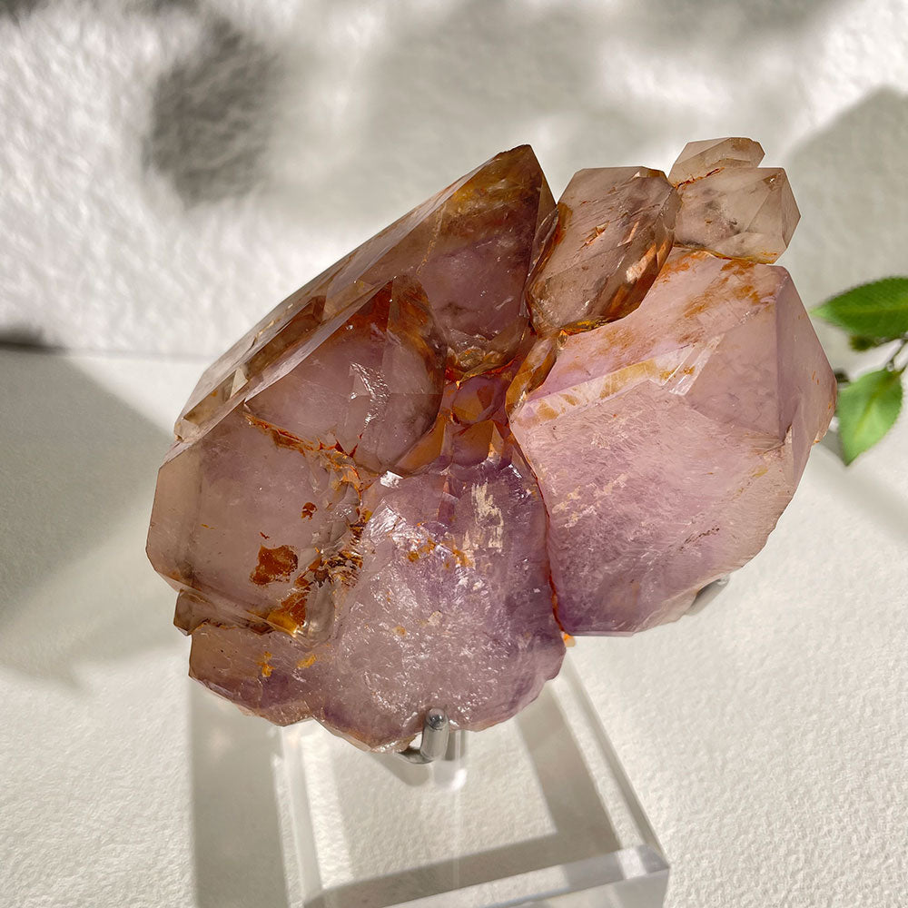 Natural Raw Amethyst Skeletal Quartz - Rare Purple Elestial Specimen