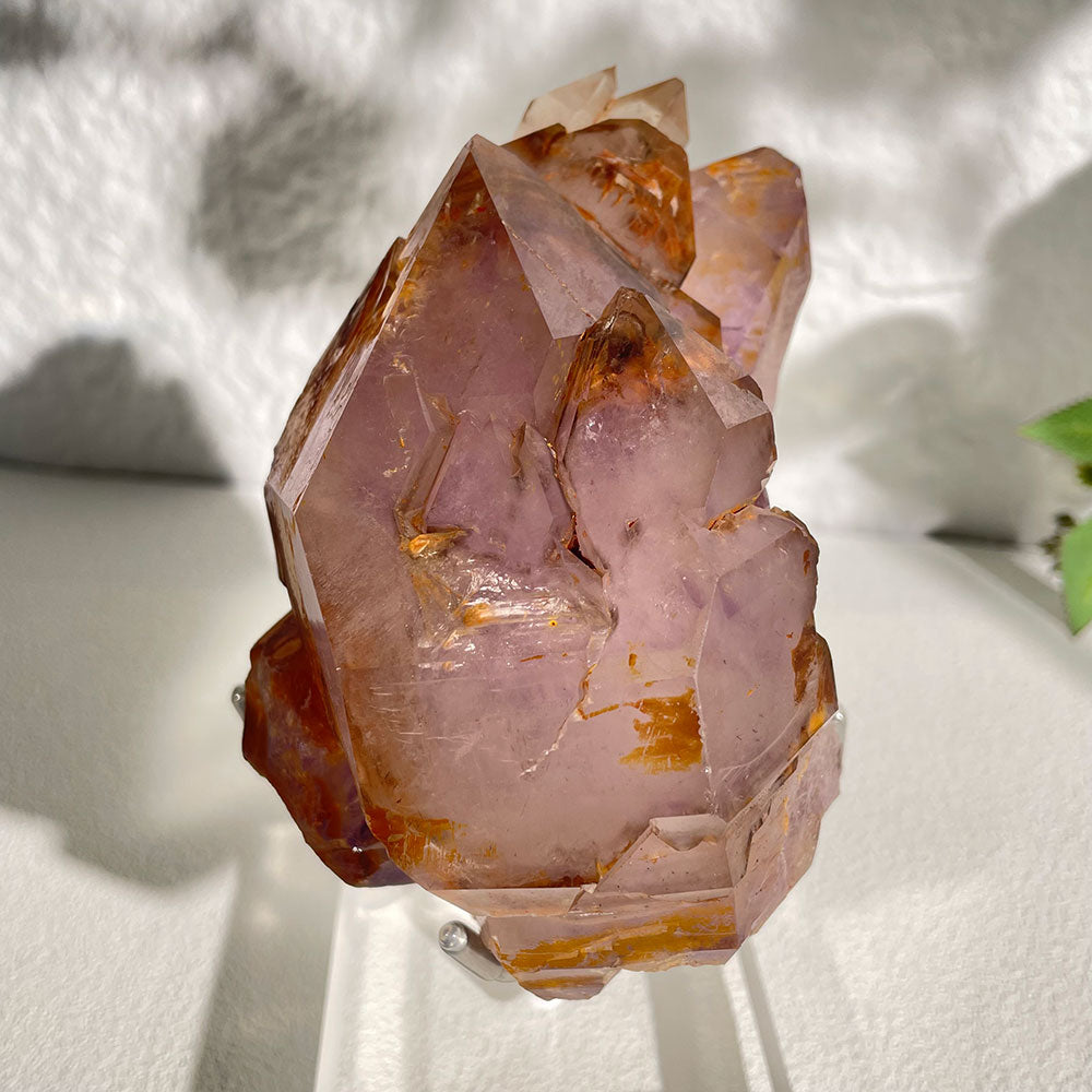 Natural Raw Amethyst Skeletal Quartz - Rare Purple Elestial Specimen