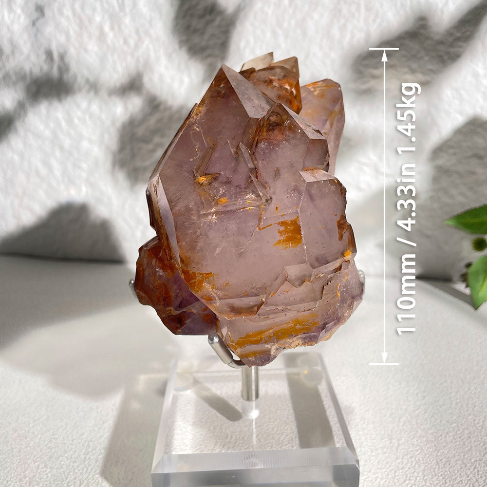 Natural Raw Amethyst Skeletal Quartz - Rare Purple Elestial Specimen