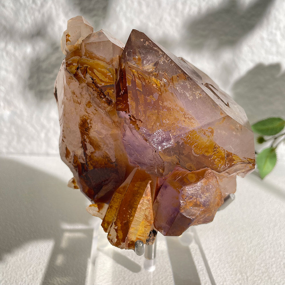 Natural Raw Amethyst Skeletal Quartz - Rare Purple Elestial Specimen