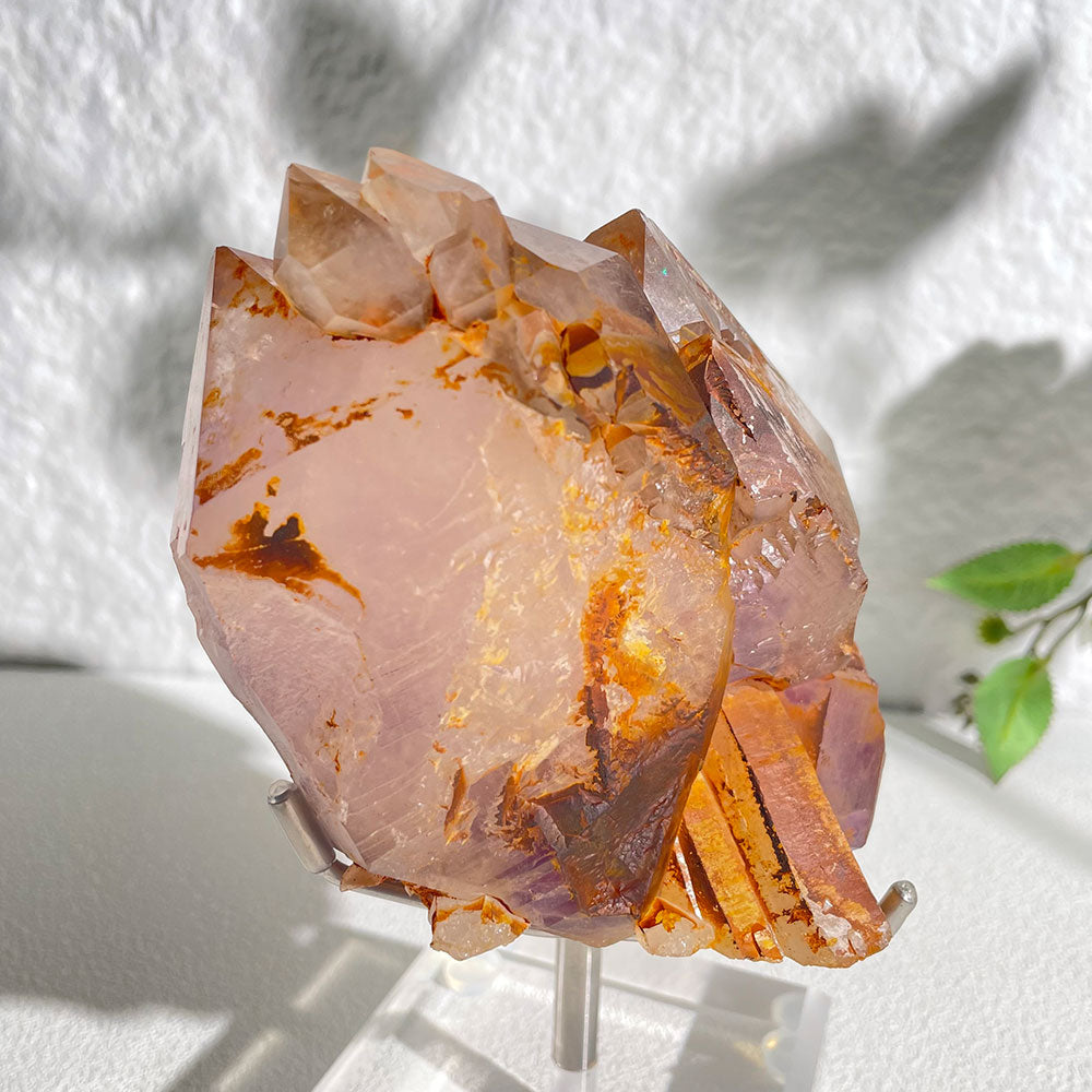 Natural Raw Amethyst Skeletal Quartz - Rare Purple Elestial Specimen