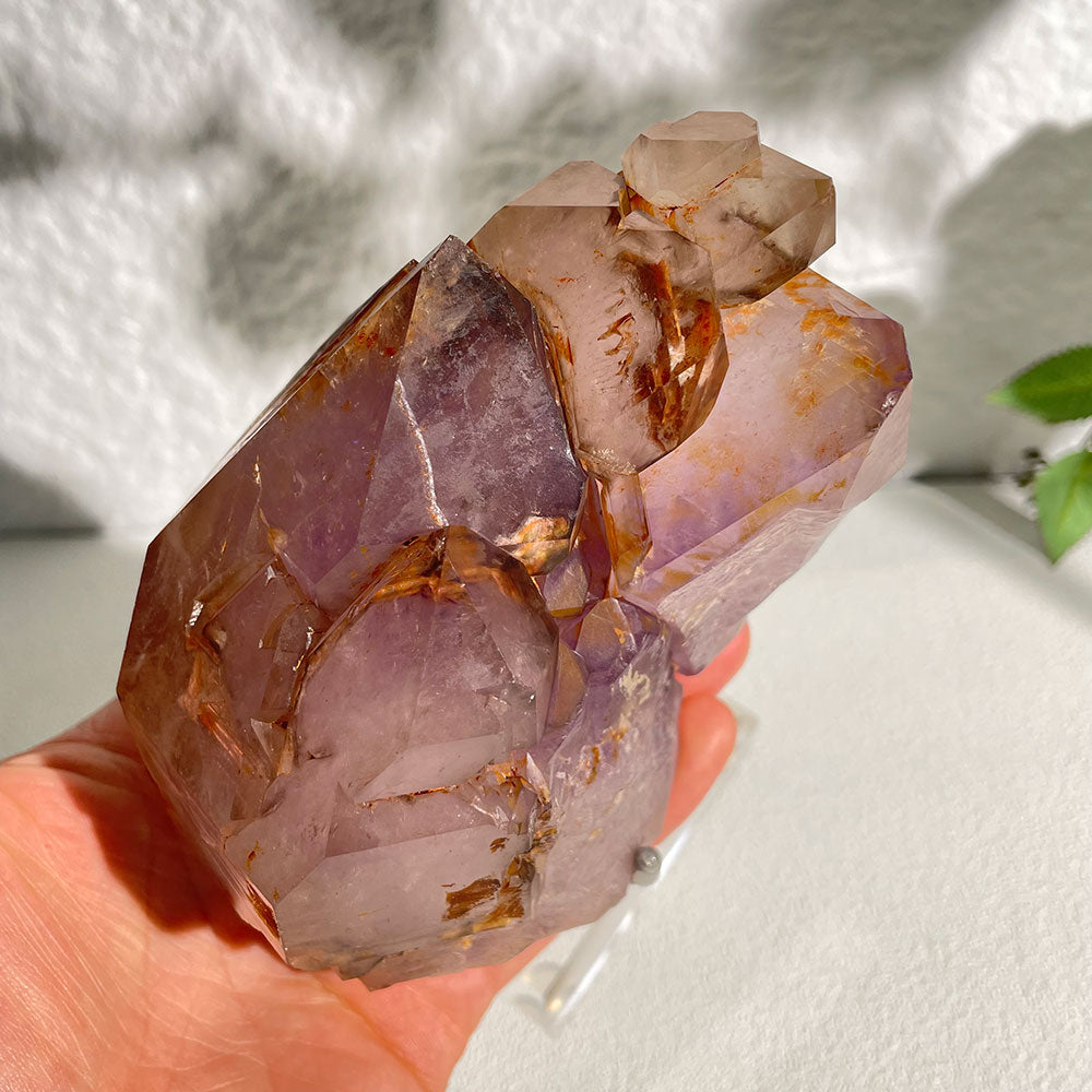 Natural Raw Amethyst Skeletal Quartz - Rare Purple Elestial Specimen