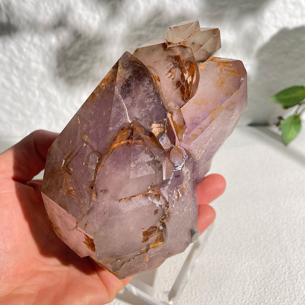 Natural Raw Amethyst Skeletal Quartz - Rare Purple Elestial Specimen