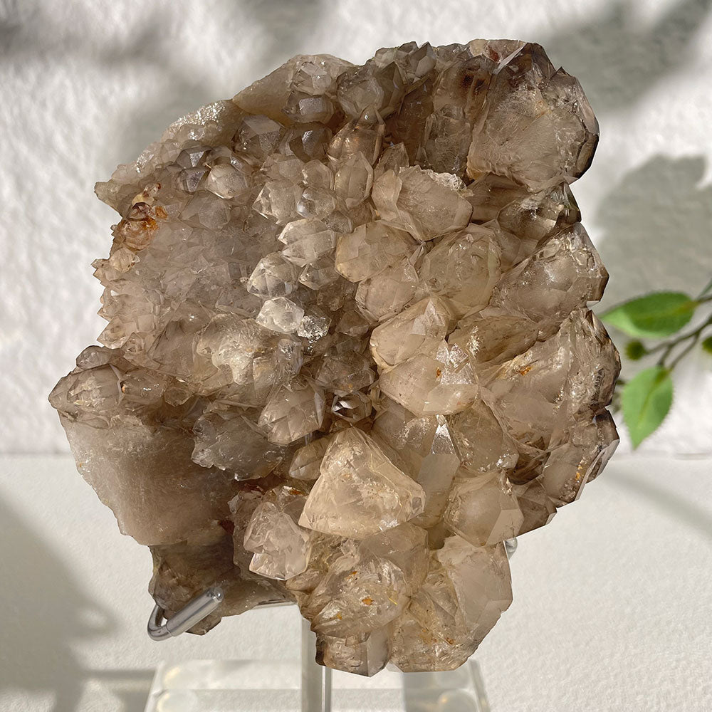 Natural Skeletal Quartz Specimen (130mm) - Raw Elestial Crystal Decor