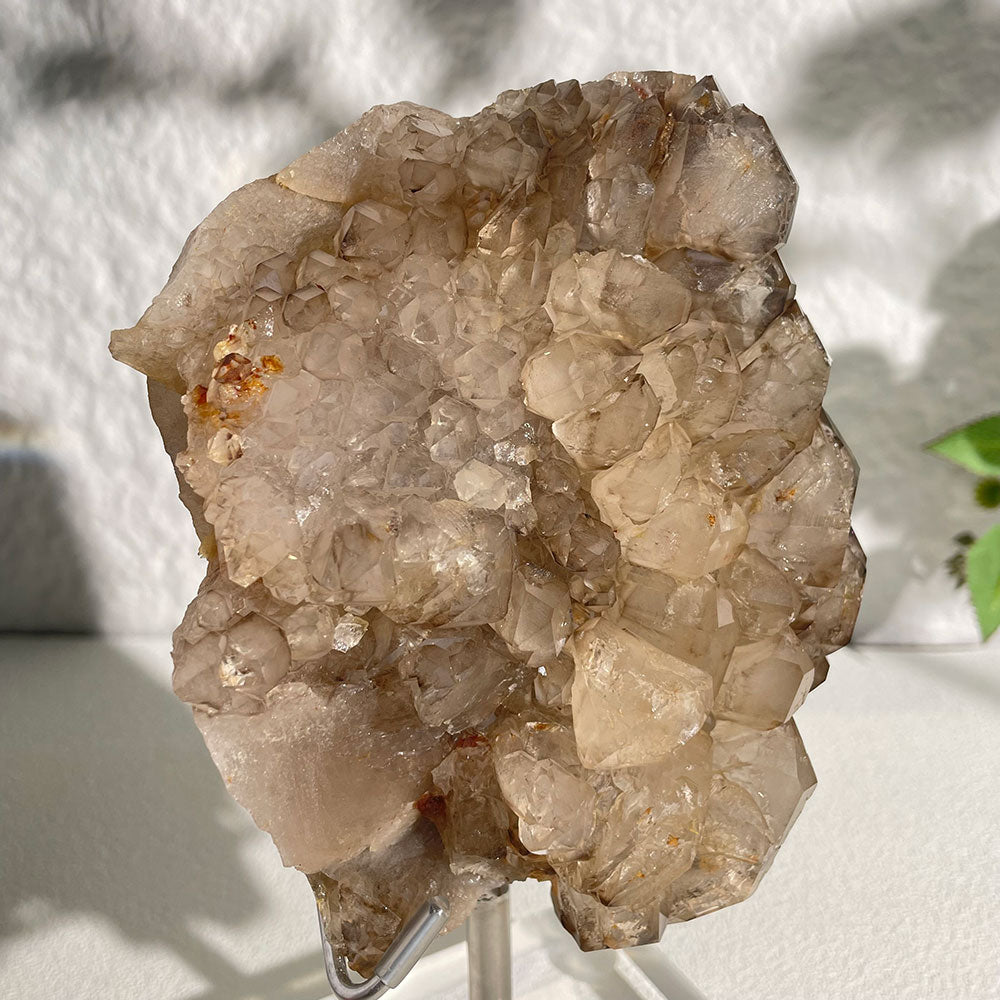Natural Skeletal Quartz Specimen (130mm) - Raw Elestial Crystal Decor