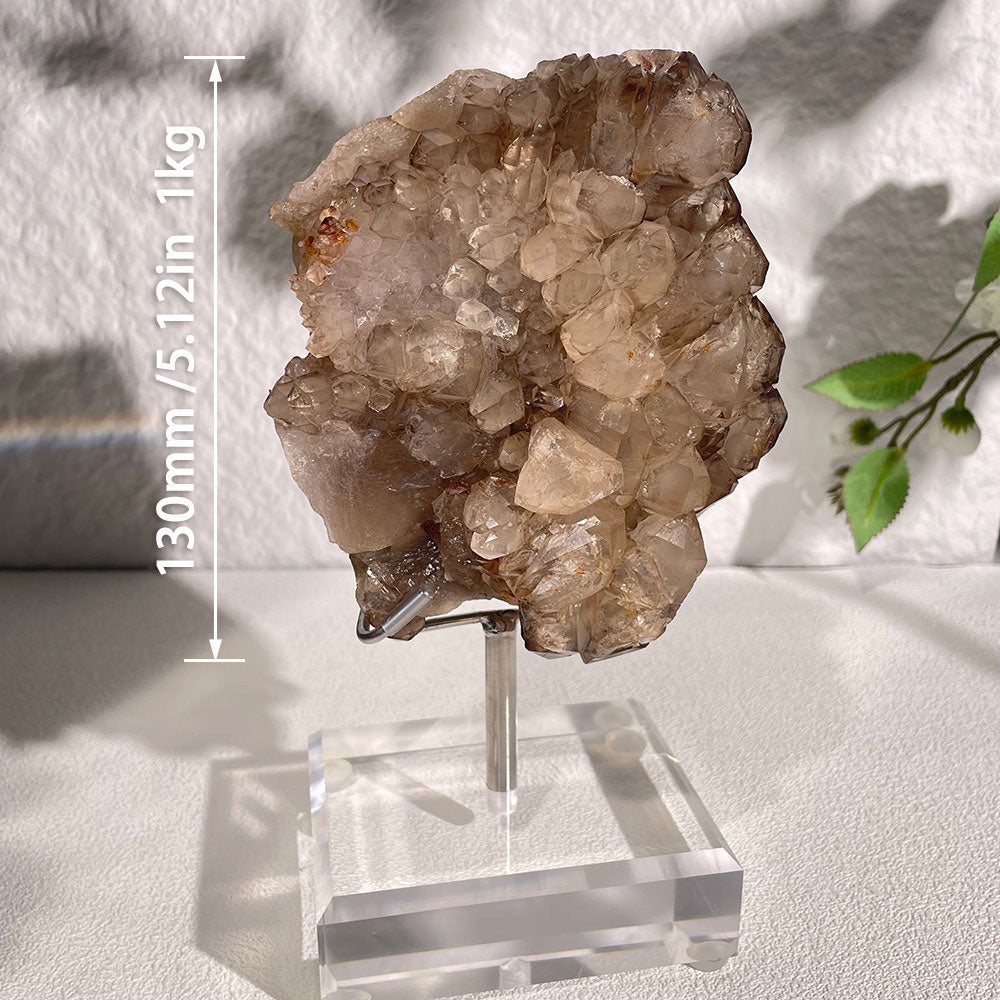 Natural Skeletal Quartz Specimen (130mm) - Raw Elestial Crystal Decor