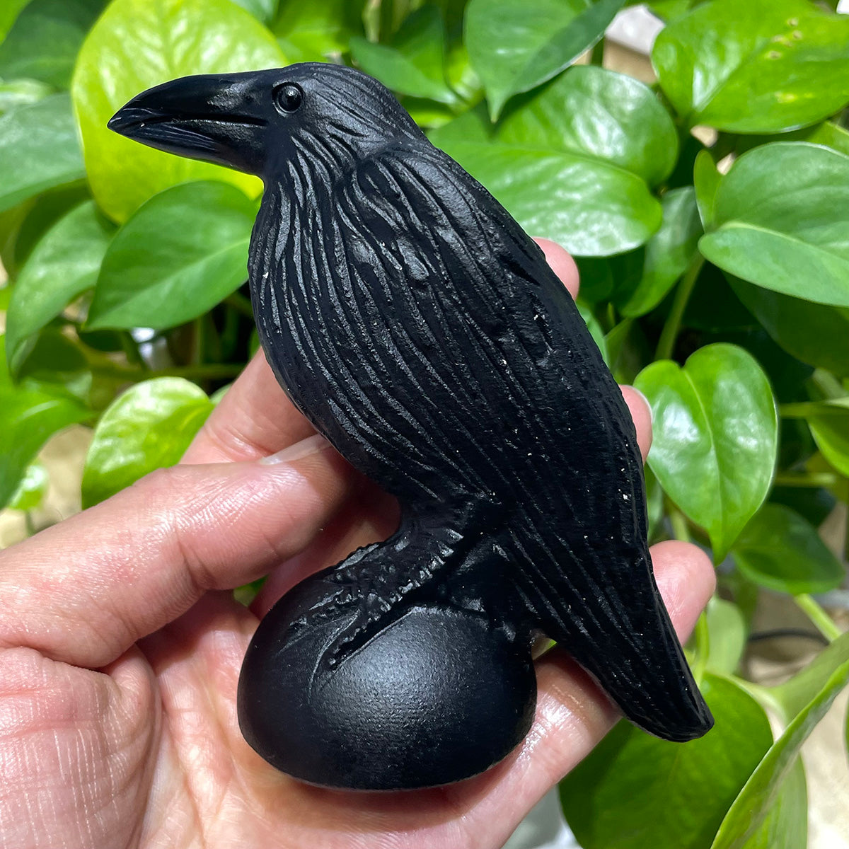 Obsidian Crow