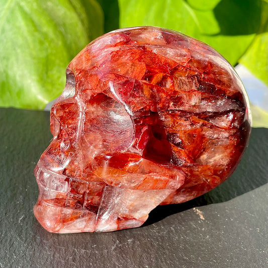 Side profile of a vibrant red fire quartz crystal skull with fiery inclusions.