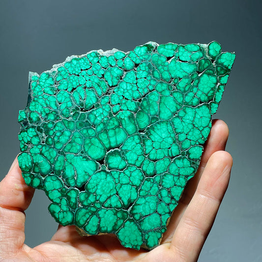 Hand holding a large malachite slab with a vibrant green botryoidal bubble pattern.