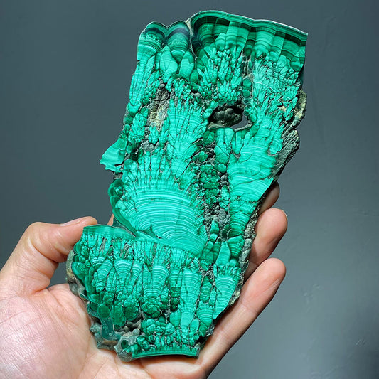 Hand holding the side profile of a polished malachite slab showing its silky banded layers.