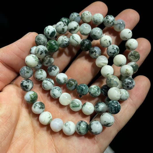 tree agate bracelet